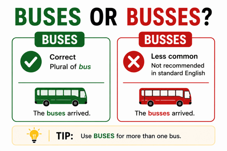 Buses or busses