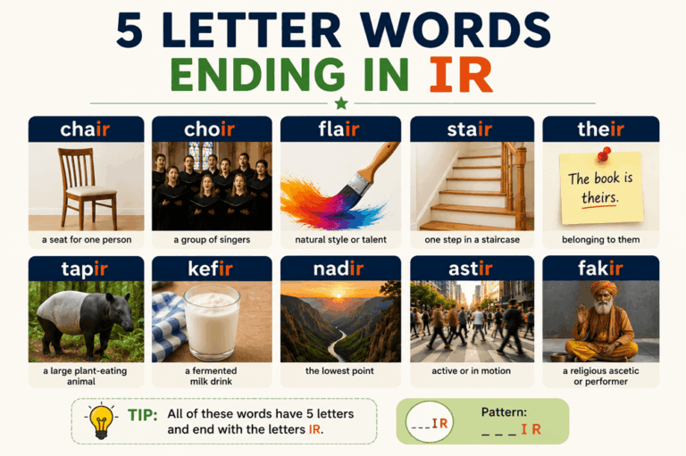 5 letter word ending in ir